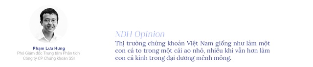 20 năm chứng khoán Việt Nam: Dang dở kỳ vọng nâng hạng thị trường - Ảnh 2.