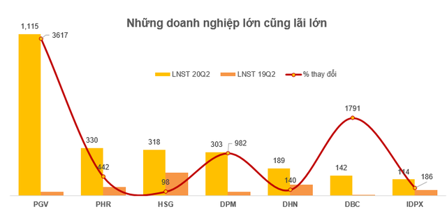 Những doanh nghiệp đang sống tốt, sống khỏe qua mùa dịch - Ảnh 2.