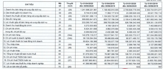 Lợi nhuận mảng thịt tươi sống sụt giảm mạnh, lãi quý 2 của Vissan chỉ bằng 2/3 cùng kỳ - Ảnh 2.