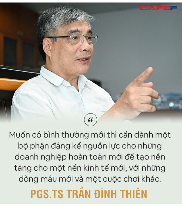 PGS. TS Trần Đình Thiên: Phải cứu doanh nghiệp giúp nền kinh tế đứng dậy được chứ không phải để tất cả cùng thoi thóp! - Ảnh 9.