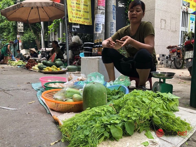 Đặc sản rau rừng đổ bộ về Thủ đô, giá chát vẫn cháy hàng - Ảnh 5.