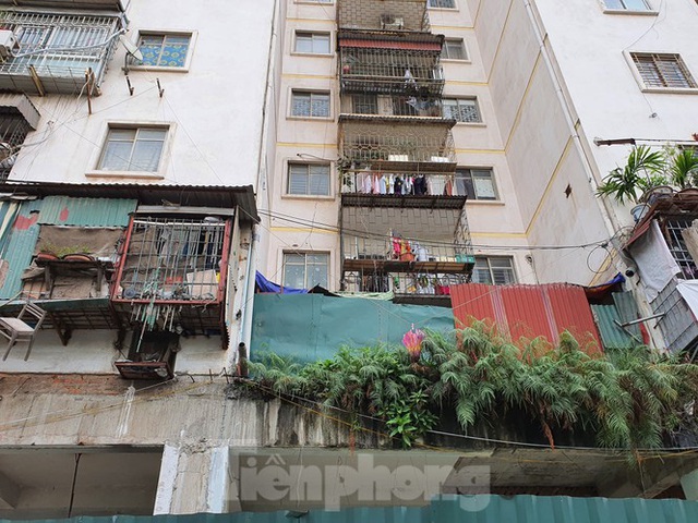 Tận thấy cảnh hoang tàn các khu nhà tái định cư ở Hà Nội - Ảnh 5.