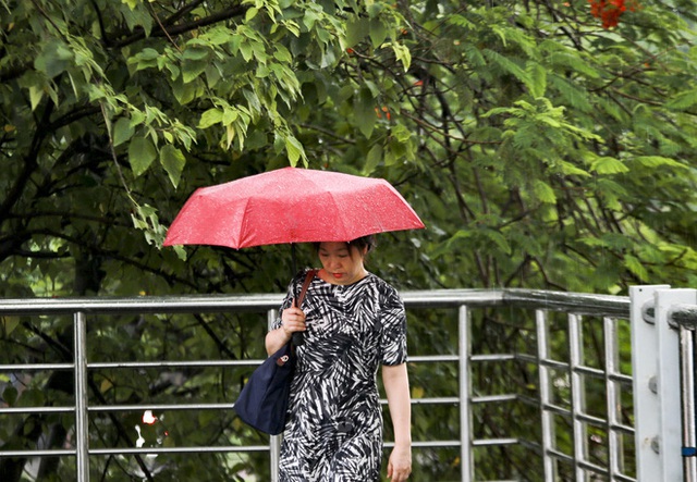  Video: Hà Nội đón cơn mưa vàng ngắn ngủi giải nhiệt sau nhiều ngày nắng nóng - Ảnh 6.