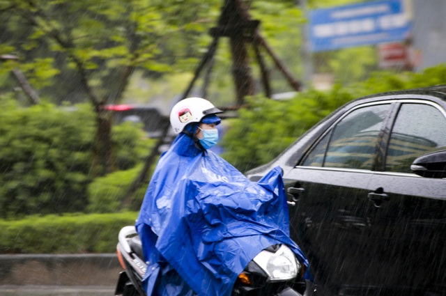  Video: Hà Nội đón cơn mưa vàng ngắn ngủi giải nhiệt sau nhiều ngày nắng nóng - Ảnh 7.
