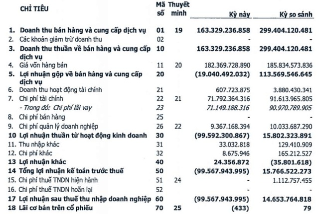 Thuỷ điện Hủa Na (HNA): 6 tháng lỗ gần 100 tỷ đồng - Ảnh 1.