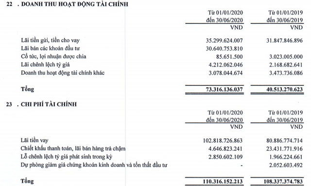 Viglacera (VGC) báo lãi 342 tỷ đồng trong 6 tháng đầu năm, giảm 16% so với cùng kỳ - Ảnh 1.