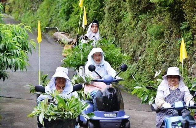 Kỳ lạ nghề hái lá cây giúp hội chị em cao tuổi Nhật Bản thu về hơn 50 tỷ đồng/năm! - Ảnh 1.