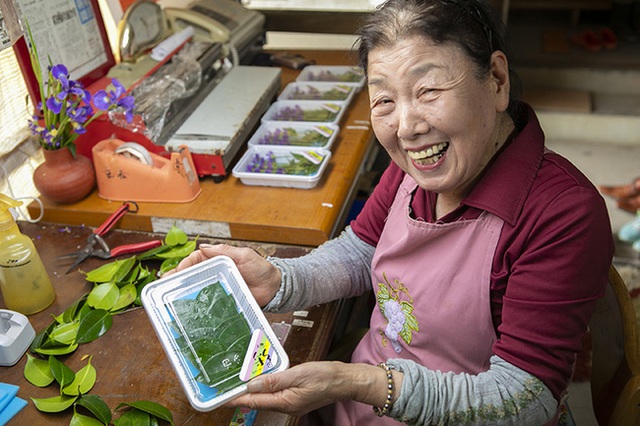 Kỳ lạ nghề hái lá cây giúp hội chị em cao tuổi Nhật Bản thu về hơn 50 tỷ đồng/năm! - Ảnh 4.
