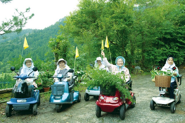 Kỳ lạ nghề hái lá cây giúp hội chị em cao tuổi Nhật Bản thu về hơn 50 tỷ đồng/năm! - Ảnh 8.
