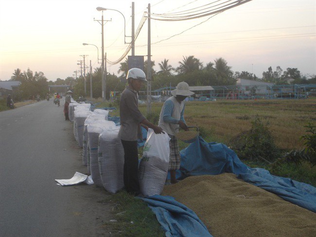 Thị trường gạo 2018 sẽ sôi động hơn