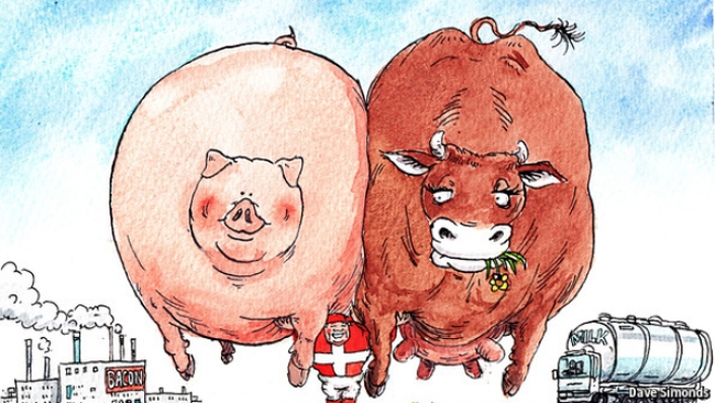 Tại sao có diện tích nhỏ, ít dân và chi phí nhân công rất cao nhưng Đan Mạch lại là 1 cường quốc nông nghiệp?