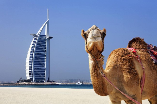 Dubai sẽ có chính phủ vận hành bằng blockchain đầu tiên trên thế giới? Dubai sẽ có chính phủ vận hành bằng blockchain đầu tiên trên thế giới?