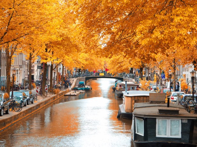 Ngắm những mùa thu lá vàng đẹp nổi tiếng thế giới