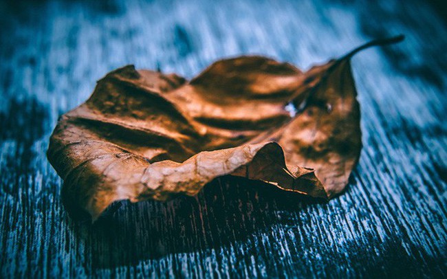 54 quy luật cuộc đời ước gì có ai đó đã nói cho tôi biết sớm: Điều số 30 người trẻ thường lãng quên