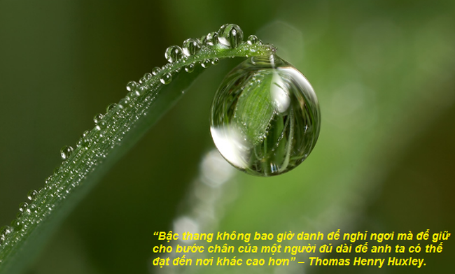 Chuyện cuối tuần: Giá là thứ bạn phải trả, nhưng giá trị mới là thứ mà bạn nhận được