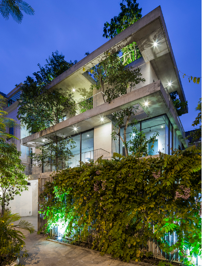 Báo Mỹ ngỡ ngàng với ngôi nhà tràn ngập cây xanh tuyệt đẹp giữa lòng Sài Gòn