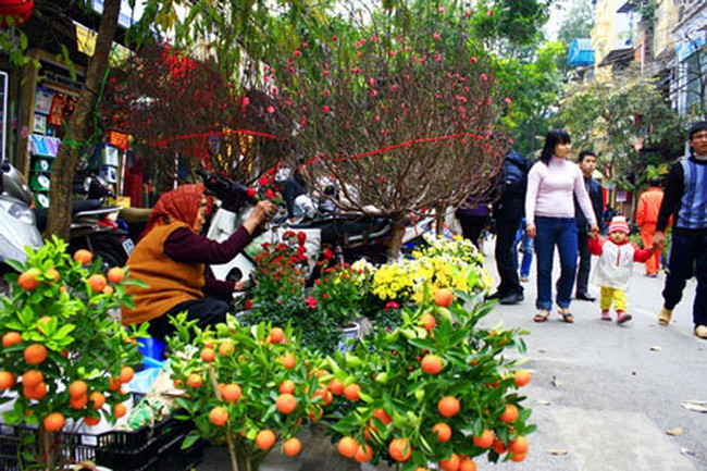 Kết quả hình ảnh cho tết mậu tuất 2018
