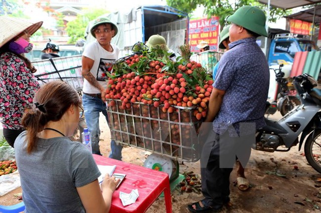vai thieu bac giang tieu thu mạnh