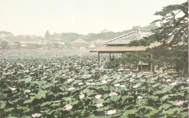 Tokyo từng yên bình đến lạ thường trước khi trở thành đô thị sầm uất nhất thế giới Tokyo từng yên bình đến lạ thường trước khi trở thành đô thị sầm uất nhất thế giới