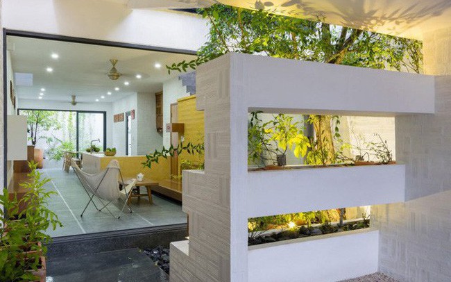 Nhà chỉ có bê tông và gạch đã lỗi thời, đây mới là xu hướng của tương lai Nhà chỉ có bê tông và gạch đã lỗi thời, đây mới là xu hướng của tương lai