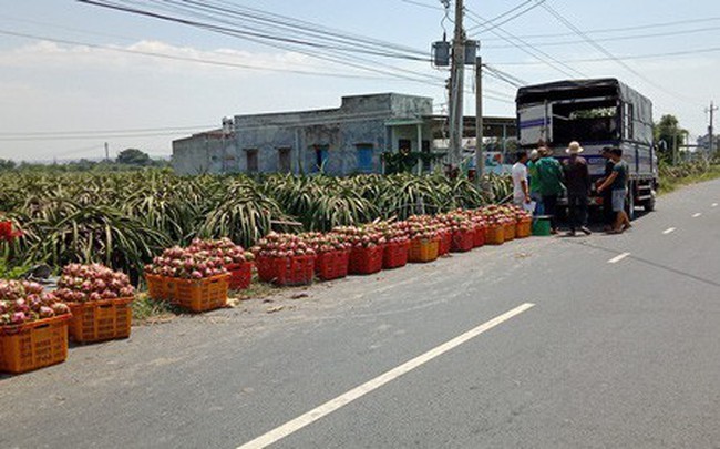 Láº¡i kÃªu gá»i "giáº£i cá»©u thanh long"