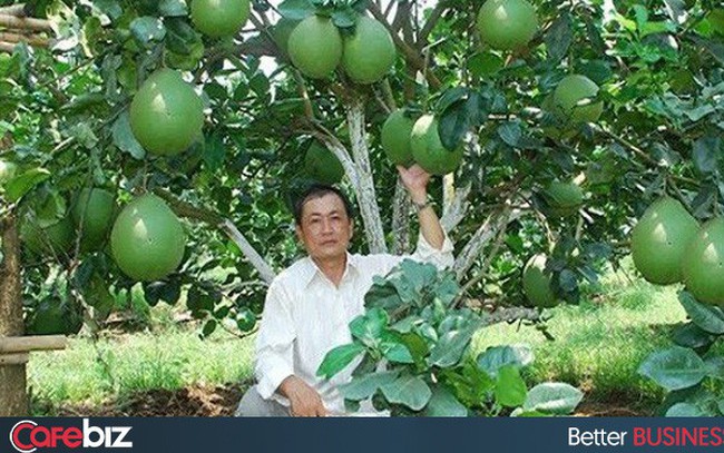 CÃ³ "bÃ¹a chÃº" nÃ y, ngÆ°á»i trá»ng cam Cao Phong, bÆ°á»i da xanh Báº¿n Tre, há» kinh doanh cháº£ má»±c Háº¡ Long... sáº½ thu lá»£i cao hÆ¡n tá»« Äáº·c sáº£n vÃ  dáº¹p náº¡n hÃ ng giáº£ máº¡o danh