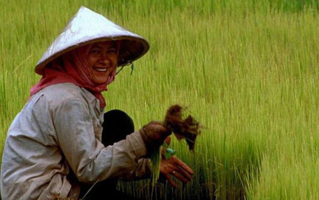 Điều gì khiến Campuchia từ quốc gia đói nghèo, sau 10 năm có gạo xuất khẩu tới 63 thị trường, thu nhập người nông dân tăng 100% chỉ nhờ trồng lúa? Điều gì khiến Campuchia từ quốc gia đói nghèo, sau 10 năm có gạo xuất khẩu tới 63 thị trường, thu nhập người nông dân tăng 100% chỉ nhờ trồng lúa?