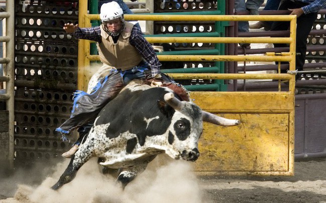 Cổ phiếu đồng thuận tăng giá, VN-Index tăng 11 điểm