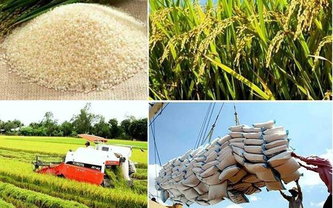 Tin vui cho các DN xuất khẩu: Nhiều dấu hiệu nhập khẩu gạo thế giới năm 2018 sẽ sôi động