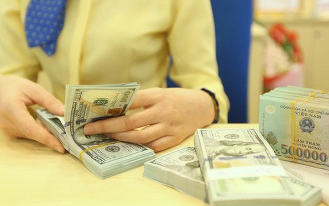 Bất chấp bất lợi bên ngoài, tỷ giá USD/VND hạ nhiệt - ảnh 1 Bất chấp bất lợi bên ngoài, tỷ giá USD/VND hạ nhiệt - ảnh 1