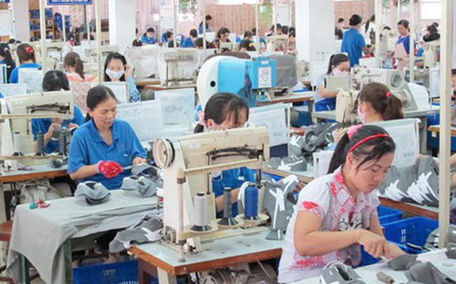 May Hữu Nghị chốt quyền trả cổ tức bằng tiền 20%