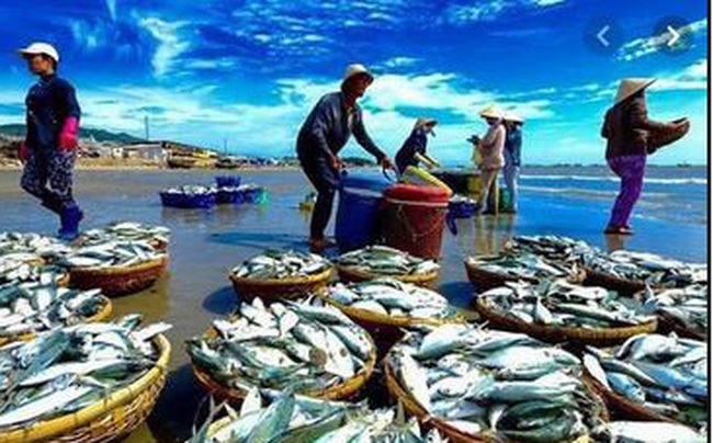 10 tháng, xuất khẩu thủy sản cán mốc 7 tỷ USD