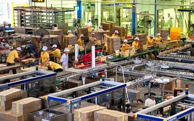 Đường Quảng Ngãi (QNS) ước lãi hợp nhất sau thuế hơn 1.200 tỷ đồng, giảm nhẹ so với 2018