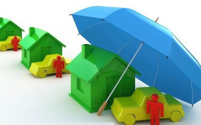 HDG, HT1, HCM, SJF, SCR, FCN, NSH, HII: Thông tin giao dịch lượng lớn cổ phiếu HDG, HT1, HCM, SJF, SCR, FCN, NSH, HII: Thông tin giao dịch lượng lớn cổ phiếu