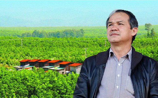 Sau 2 năm cần mẫn trồng cây ăn trái, bầu Đức cuối cùng cũng 'hái quả ngọt': Thu về hơn 200 triệu USD, hiệu suất sinh lời cao chưa từng thấy Sau 2 năm cần mẫn trồng cây ăn trái, bầu Đức cuối cùng cũng 'hái quả ngọt': Thu về hơn 200 triệu USD, hiệu suất sinh lời cao chưa từng thấy