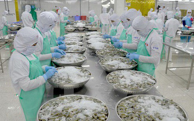 NgÃ nh thá»§y sáº£n hÆ°á»ng Äáº¿n má»¥c tiÃªu 9 tá»· USD, ná» lá»±c gá»¡ tháº» vÃ ng trong nÄm 2019