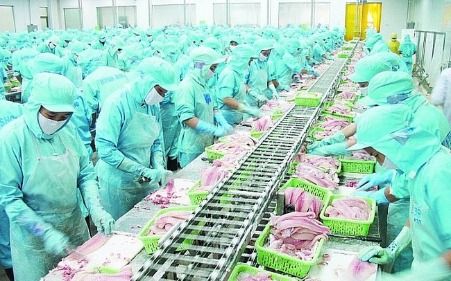 Cảnh báo thuỷ sản xuất khẩu đã “hạ nhiệt” nhưng vẫn ở mức cao Cảnh báo thuỷ sản xuất khẩu đã “hạ nhiệt” nhưng vẫn ở mức cao