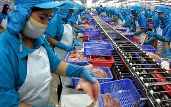 Thủy sản Mekong (AAM): Quý 1 lãi 3 tỷ đồng tăng 11% so với cùng kỳ Thủy sản Mekong (AAM): Quý 1 lãi 3 tỷ đồng tăng 11% so với cùng kỳ