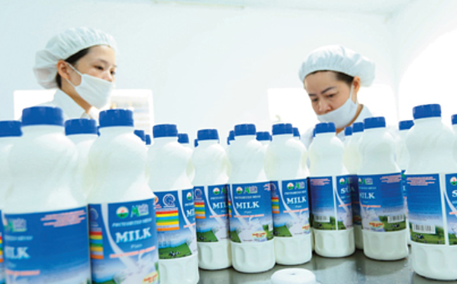 Sơn La được định hướng thành trung tâm sữa của Việt Nam, Mộc Châu Milk thêm lực đẩy để tiếp cận thị trường trong nước? Sơn La được định hướng thành trung tâm sữa của Việt Nam, Mộc Châu Milk thêm lực đẩy để tiếp cận thị trường trong nước?