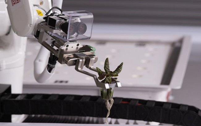 Robot trồng rau đưa cuộc sống viễn tưởng vào đời thực