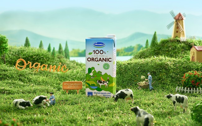 Vinamilk mua thành công hơn 90 triệu cổ phiếu GTN trong đợt chào mua công khai Vinamilk mua thành công hơn 90 triệu cổ phiếu GTN trong đợt chào mua công khai