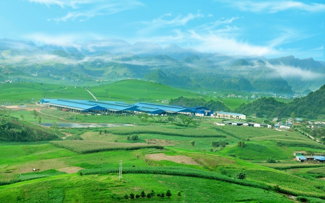 ĐHĐCĐ Vilico: Mộc Châu Milk cho rằng lời mời “về chung một nhà” của Vinamilk sẽ giúp cả 2 bên đạt lợi ích cao nhất