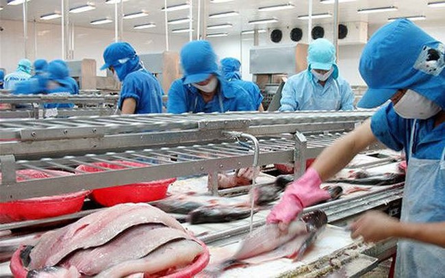 VÄ©nh HoÃ n (VHC): Mua 2 triá»u cá» phiáº¿u quá»¹, dá»± bÃ¡o giÃ¡ xuáº¥t kháº©u sáº½ cháº¡m ÄÃ¡y vÃ o quÃ½ 3â¦ váº«n chÆ°a "Äá»¡" ÄÆ°á»£c ÄÃ  lao dá»c thá» giÃ¡