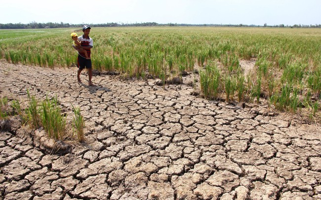 World Bank: Trên thế giới, một mét khối nước tạo ra 19,42 USD giá trị gia tăng, ở Việt Nam chỉ tạo ra 2,37 USD World Bank: Trên thế giới, một mét khối nước tạo ra 19,42 USD giá trị gia tăng, ở Việt Nam chỉ tạo ra 2,37 USD