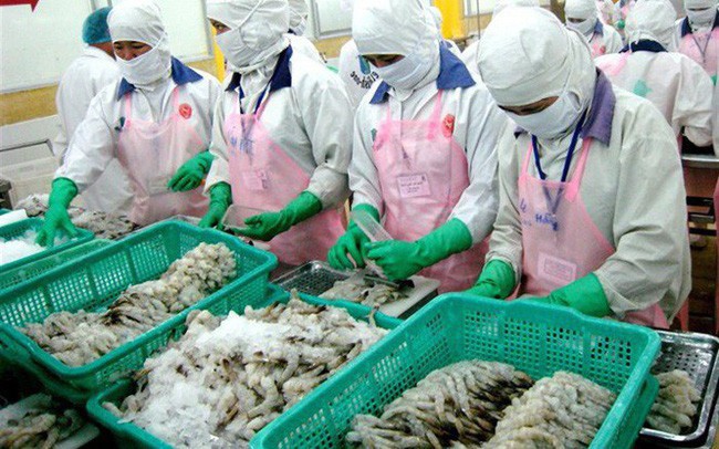 Xuất khẩu tôm sang các thị trường chính đồng loạt giảm