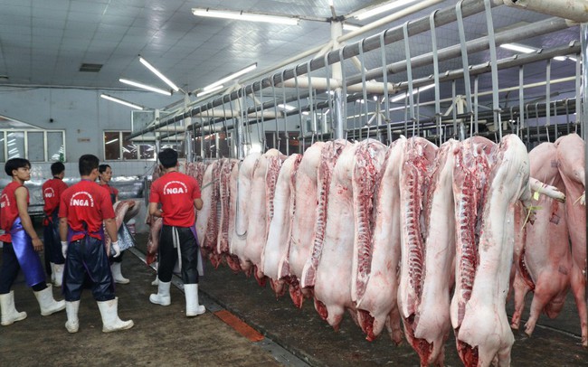 Giá lợn hơi tăng nhanh, khả năng lên tới hơn 60.000 đồng/kg