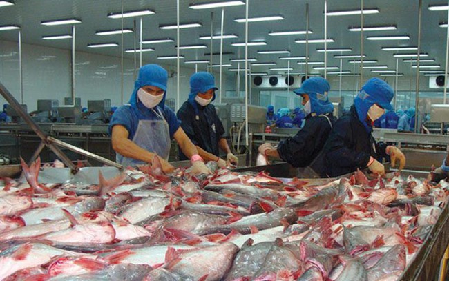 VÄ©nh HoÃ n: Thá» trÆ°á»ng Trung Quá»c tÄng trá» láº¡i nhá» phÃª duyá»t miá»n thuáº¿ xuáº¥t kháº©u
