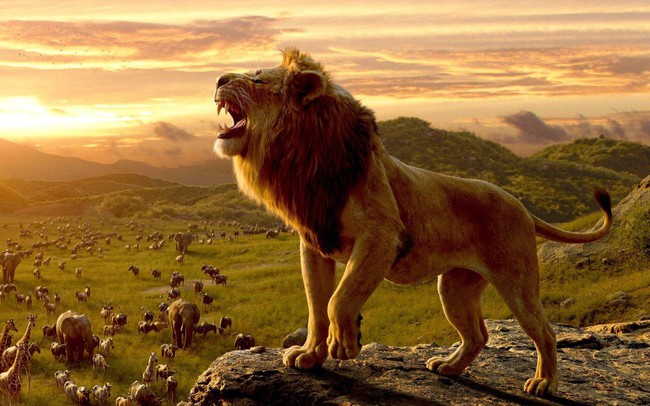 Ai cũng muốn sống một đời oai hùng, vẻ vang nhưng lại thường "lờ đi" 6 bài học giá trị này: Nguyên tắc cốt lõi là không từ bỏ dù rơi xuống tận cùng tuyệt vọng!