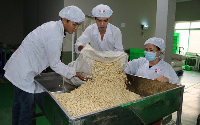 Háº¡t Äiá»u áº§m áº§m vÃ o Trung Quá»c nhá» cÄng tháº³ng thÆ°Æ¡ng máº¡i Má»¹-Trung