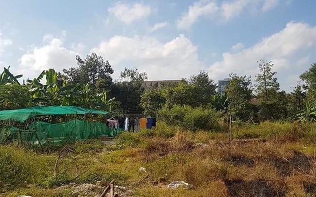 2 doanh nghiệp có dấu hiệu lừa đảo, mang đất quy hoạch đi bán 2 doanh nghiệp có dấu hiệu lừa đảo, mang đất quy hoạch đi bán